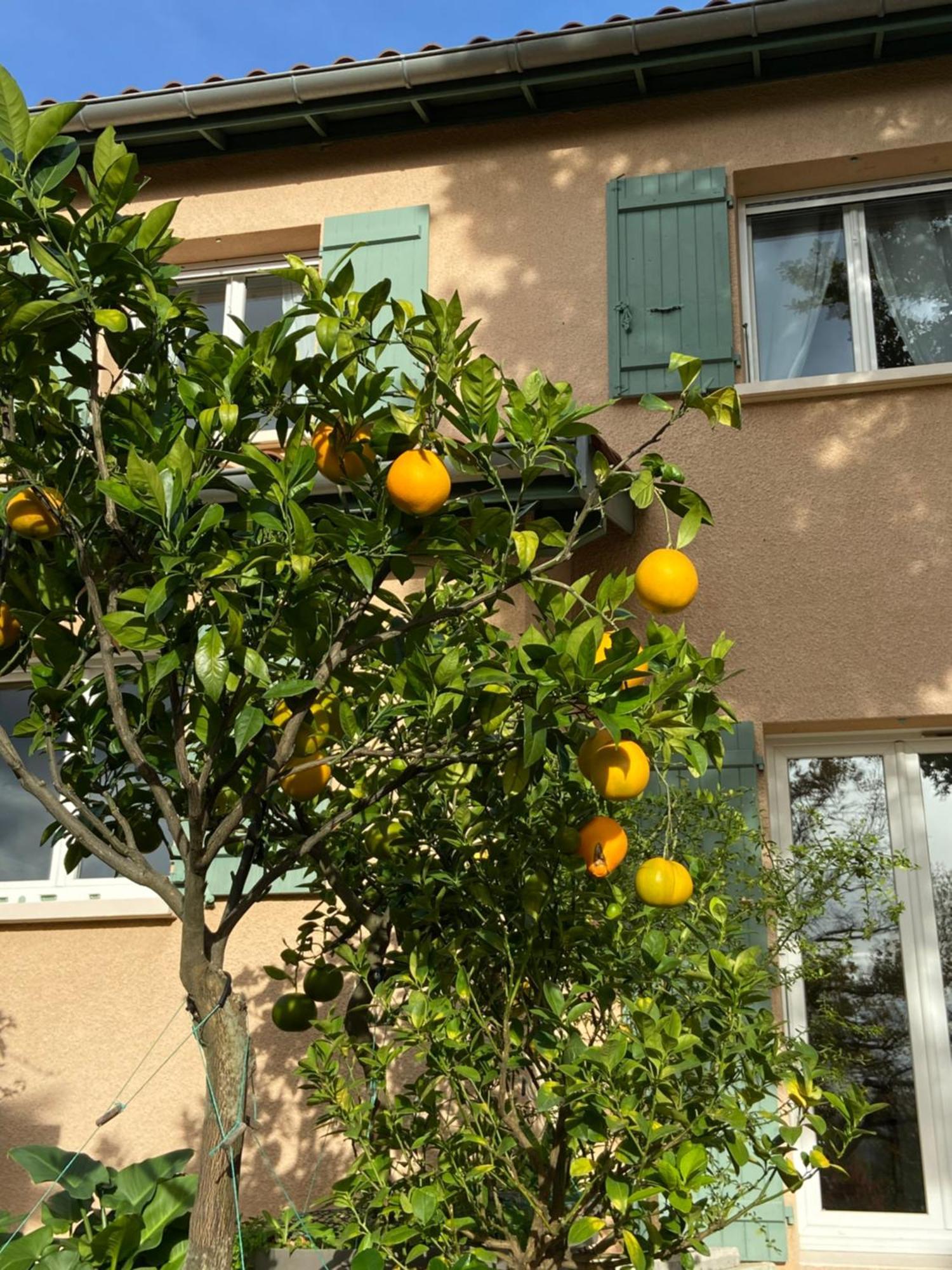 Le Relais Des Malettes Chambres D'Hotes B&B Francheville  Exteriör bild