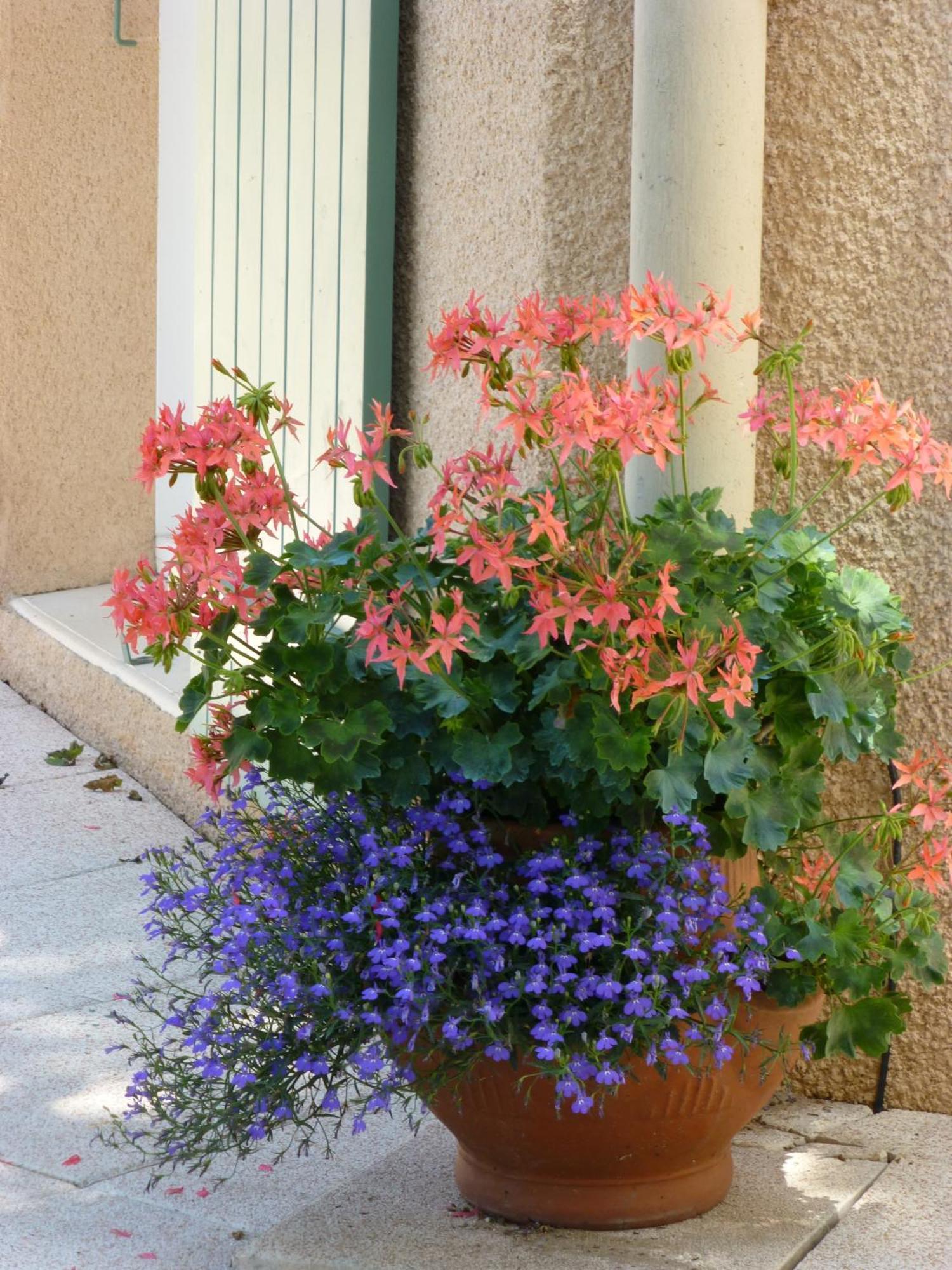 Le Relais Des Malettes Chambres D'Hotes B&B Francheville  Exteriör bild